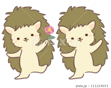 ピンクのサザンカの花を持つハリネズミ 111224053