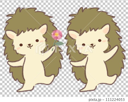 ピンクのサザンカの花を持つハリネズミ 111224053