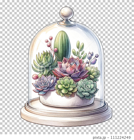 Succulents with a glass cloche watercolor clipart Succulents with a glass cloche watercolor clipart 111224249