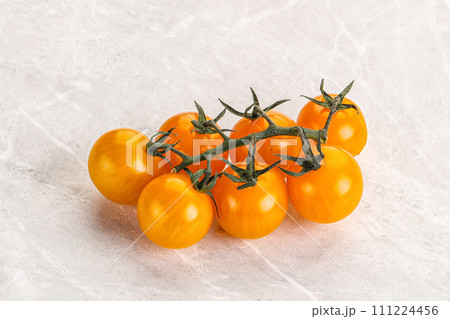 Ripe yellow cherry tomato branch 111224456