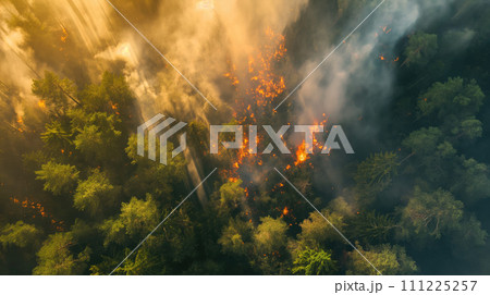 Top view of huge forest fire and dense smoke, top aerial view from the plane. The flames burning the green forest to the ground 111225257