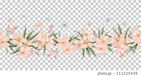 Oleander flowers with flying peach pink and pastel blue butterflies watercolor seamless border isolated on white background. Floral horizontal banner for wedding designs and baby girl room decor Oleander flowers with flying peach pink and pastel blue butterflies watercolor seamless border isolated on white background. Floral horizontal banner for wedding designs and baby girl room decor 111225439