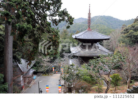 法華山一乗寺 三重塔(兵庫県 加西市) 法華山一乗寺 三重塔(兵庫県 加西市) 111225652