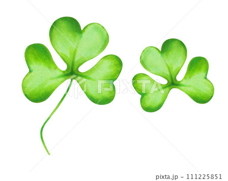 Shamrock green clover for good luck on St. Patrick's Day. Illustration with watercolors and markers. Hand drawn isolated clipart.Botanical holiday spring concept, clover plant symbol. Shamrock green clover for good luck on St. Patrick's Day. Illustration with watercolors and markers. Hand drawn isolated clipart.Botanical holiday spring concept, clover plant symbol. 111225851