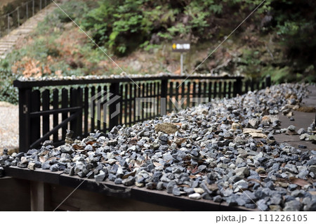 法華山一乗寺 開山堂（兵庫県 加西市） 111226105