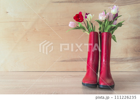 Spring gardening concept; Bouquet of pink and white tulips in red rubber boots on a wooden background Spring gardening concept; Bouquet of pink and white tulips in red rubber boots on a wooden background 111226235
