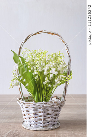 Happy May Day greeting card concept; Bouquet of lilies-of-the valley in a white basket on a wooden table and white background 111226242