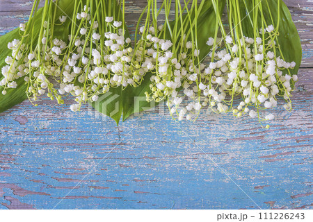 Happy May Day greeting card template; frame of lilies of the valley on a blu paint wooden background; Happy May Day greeting card template; frame of lilies of the valley on a blu paint wooden background; 111226243