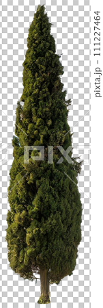 單木鏤空材料(柏木) 單木鏤空材料(柏木) 111227464