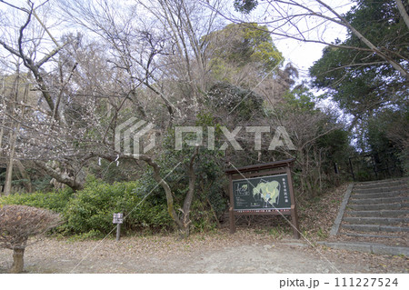 神奈川県横浜市金沢八景の近所にある北条氏ゆかりの称名寺・称名寺の冬 神奈川県横浜市金沢八景の近所にある北条氏ゆかりの称名寺・称名寺の冬 111227524