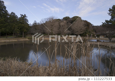 神奈川県横浜市金沢八景の近所にある北条氏ゆかりの称名寺・称名寺の冬 111227533