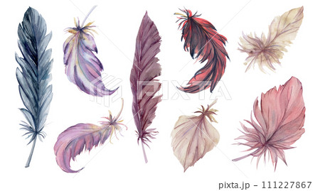 Hand drawn watercolor illustration bird feather plume quill boho tribal ethnic indian. Set of objects isolated on white background. Design for charm, scrapbooking, dreamcatcher, handmade craft, tattoo 111227867