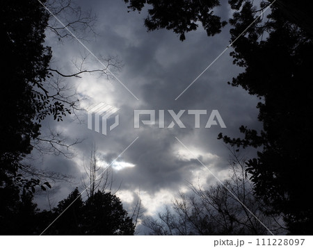 寒そうな冬の風景 寒そうな冬の風景 111228097