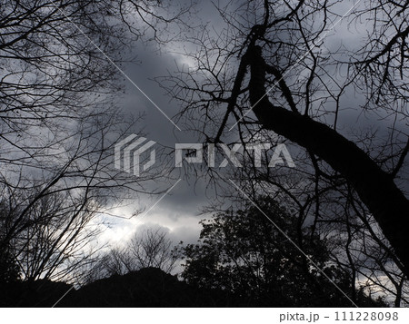 寒そうな冬の風景 111228098