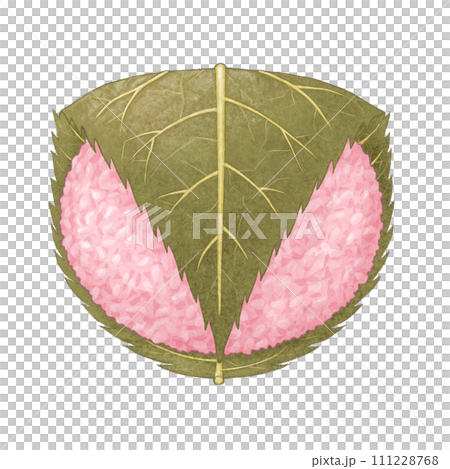 櫻花年糕的插圖 櫻花年糕的插圖 111228768