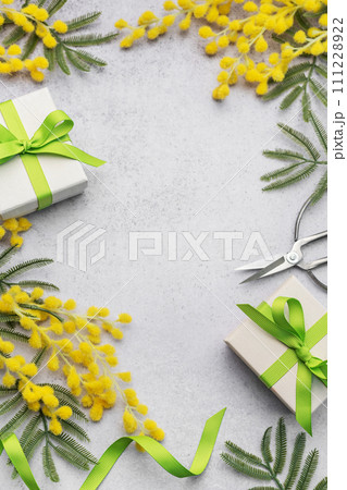 Mimosa branch and gift boxes on gray concrete background. 111228922
