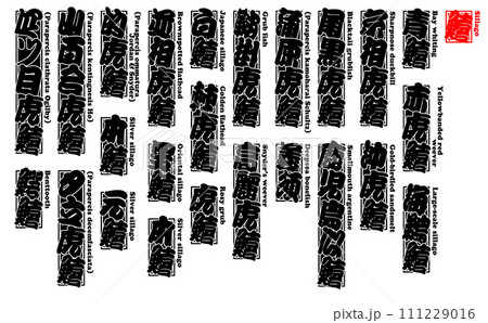 鱚 きす Sillago 111229016