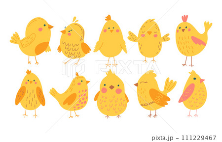 Vector color handdrawn cute easter set with chickens in flat style on a white background. Easter set 111229467