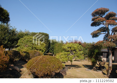 尾高惇忠生家の庭園(埼玉県深谷市) 尾高惇忠生家の庭園(埼玉県深谷市) 111229502