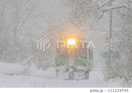 猛吹雪の只見線 111229745