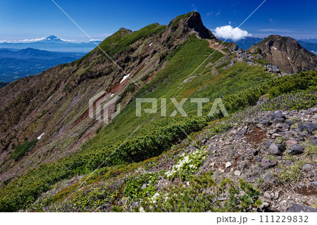 八ヶ岳連峰・横岳主峰と富士山の眺め 八ヶ岳連峰・横岳主峰と富士山の眺め 111229832