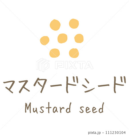 マスタードシード　Mustard seed　イラスト 111230104