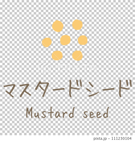 マスタードシード　Mustard seed　イラスト 111230104