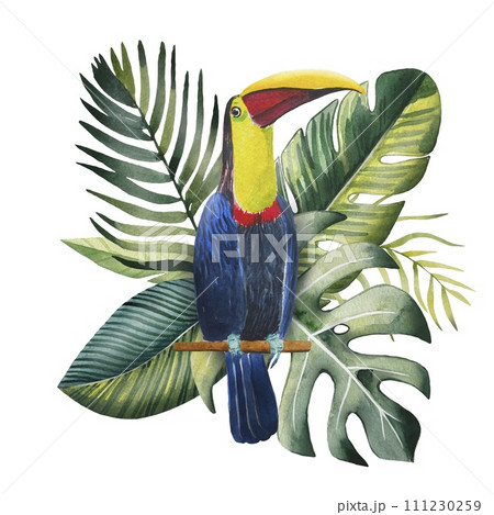 Hand drawn toucan with tropical leaves, watercolor Hand drawn toucan with tropical leaves, watercolor 111230259