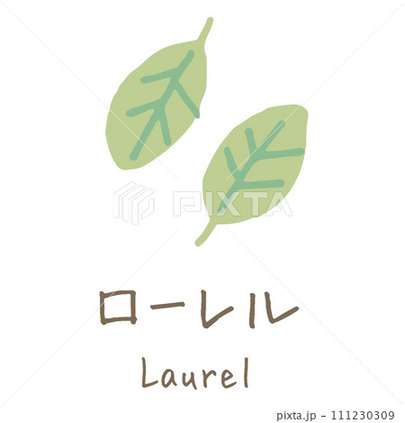 ローレル　Laurel　イラスト 111230309