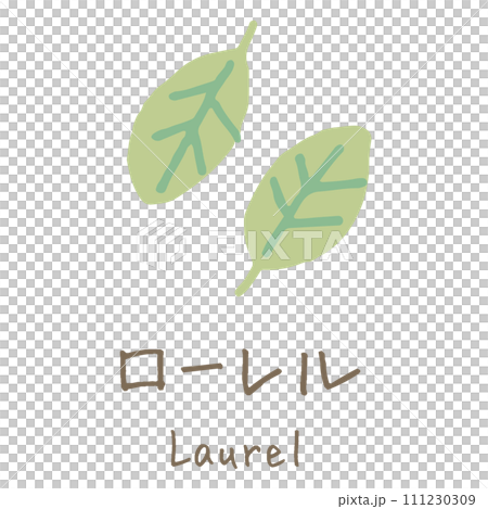 ローレル　Laurel　イラスト 111230309