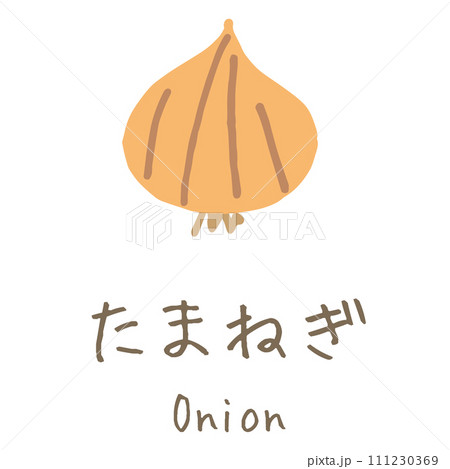 たまねぎ　Onion　イラスト 111230369