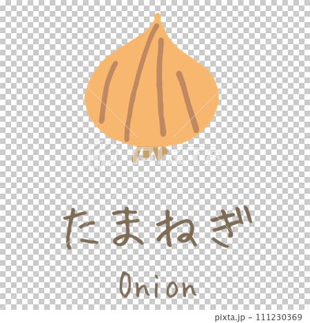 洋蔥圖 111230369