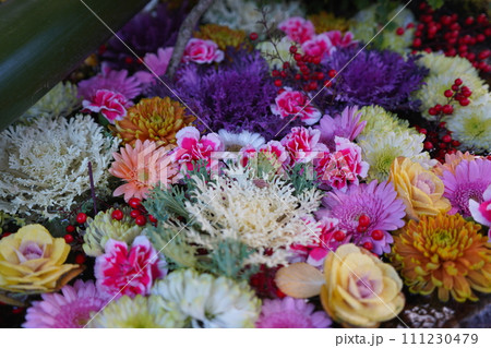 台東区の元三島神社の花手水 111230479