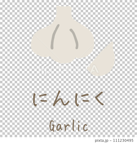 大蒜插圖 111230495