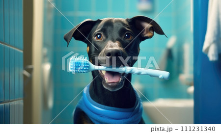Canine enjoys bath time, getting squeaky clean joyfully. 111231340