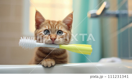 enjoying cleansing process, playful and wet cat enjoying cleansing process, playful and wet cat 111231341