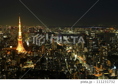 東京タワー、六本木ヒルズからの夜景 東京タワー、六本木ヒルズからの夜景 111231732