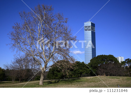 冬の千葉ポートパーク 111231846