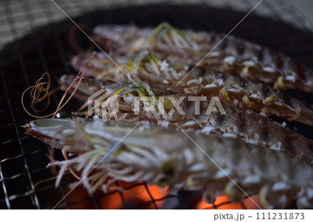 七輪で焼く車海老 七輪で焼く車海老 111231873