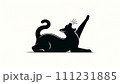 シンプルな猫のシルエット 111231885