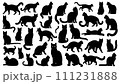 可愛い猫のシルエット 111231888