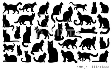 可愛い猫のシルエット 111231888