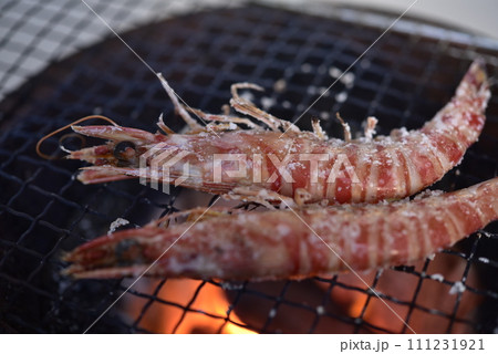 七輪で焼く車海老 111231921