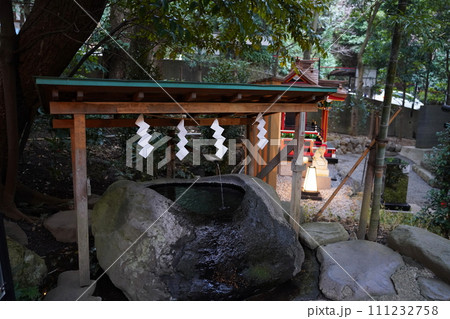 熱海の来宮神社 熱海の来宮神社 111232758