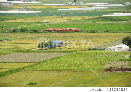 緑淡き田園地帯を往くツートンカラー2輌編成のキハ40臨時列車 緑淡き田園地帯を往くツートンカラー2輌編成のキハ40臨時列車 111232885
