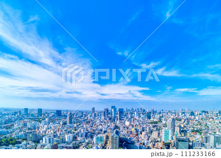 東京大都会ビル群　渋谷・新宿方面 111233166