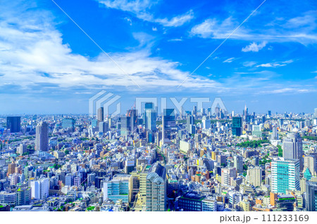 渋谷を望む東京風景 111233169