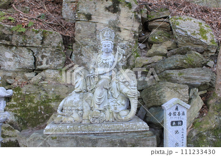 四国霊場第12番札所「焼山寺」普賢菩薩像 四国霊場第12番札所「焼山寺」普賢菩薩像 111233430