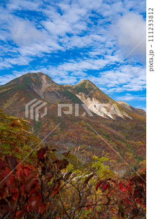 紅葉の白山（平瀬道から） 111233812