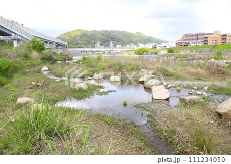 ドラゴンランド・河川敷/兵庫県川西市24 ドラゴンランド・河川敷/兵庫県川西市24 111234050
